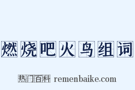 燃烧吧火鸟组词是什么意思的图片